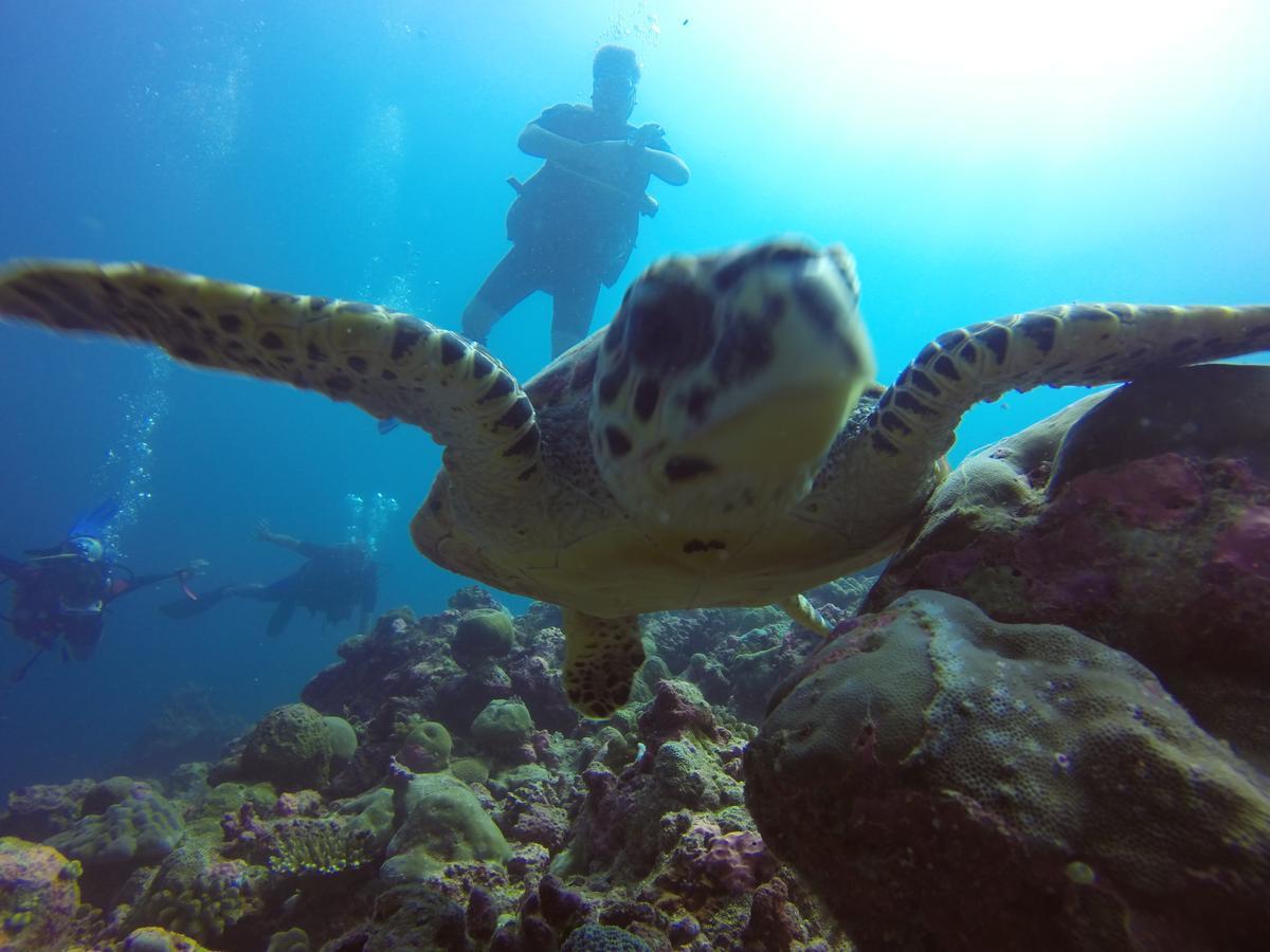 Smera Grand Maamigili Island ห้อง รูปภาพ